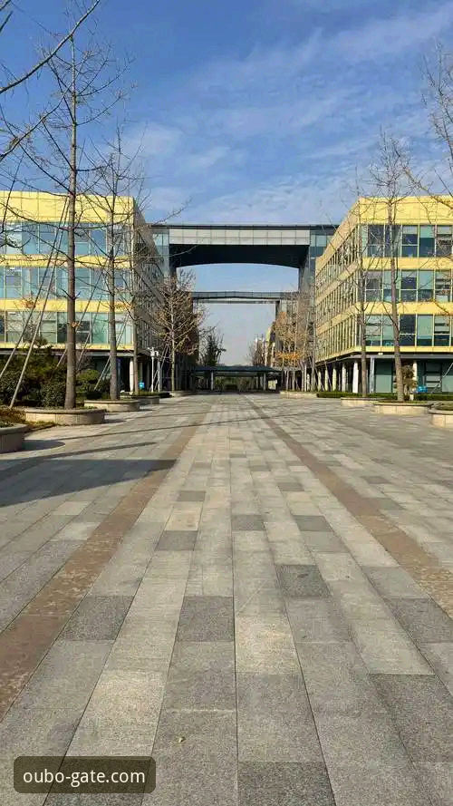 欧博体育平台移动端优化最新进展：深度解析欧博官网手机版下载体验与技术细节